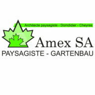 Logo Amex