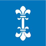 Logo CHI-ZENTRUM Dietikon AG