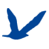 Logo Seaking Trading AG