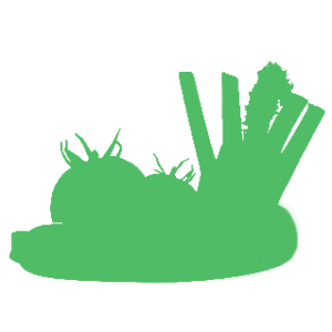 Logo Beerstecher AG Gemüsekultur