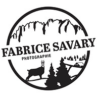 Logo Fabrice Savary Photographie