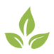 Logo Acusana
